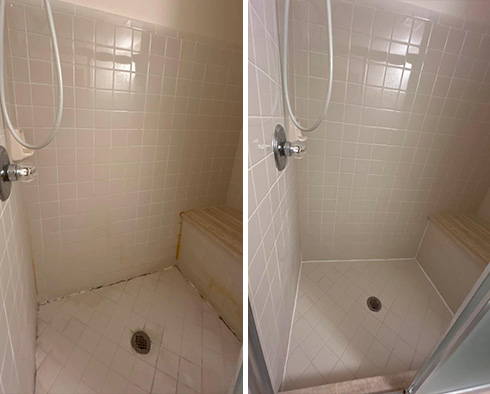 Shower Before and After a Grout Cleaning in Macomb, MI