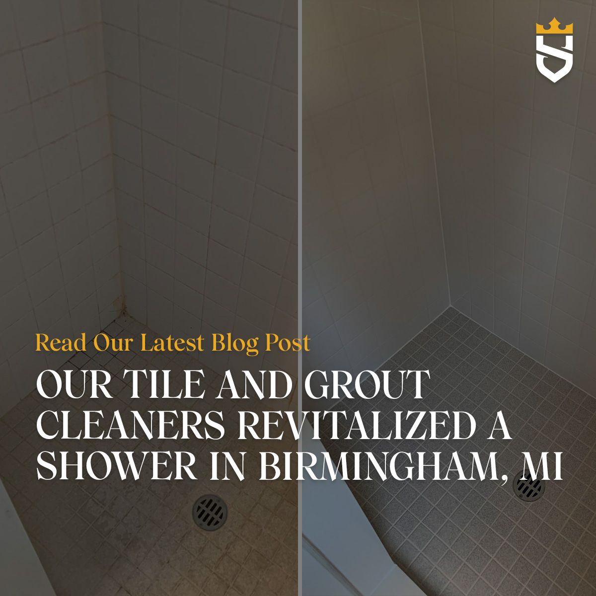 Our Tile and Grout Cleaners Revitalized a Shower in Birmingham, MI